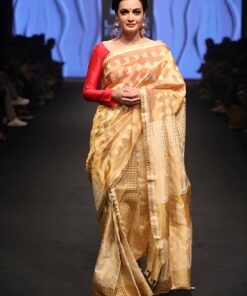 Assam Muga Silk Designer Saree With Traditional Japi Design