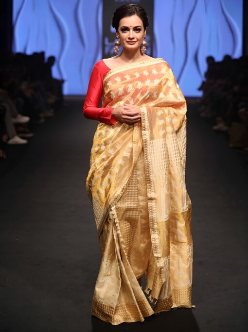 Assam Muga Silk Designer Saree With Traditional Japi Design