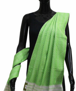 Buy Designer Handmade Silk Shawl-Lite Green Color